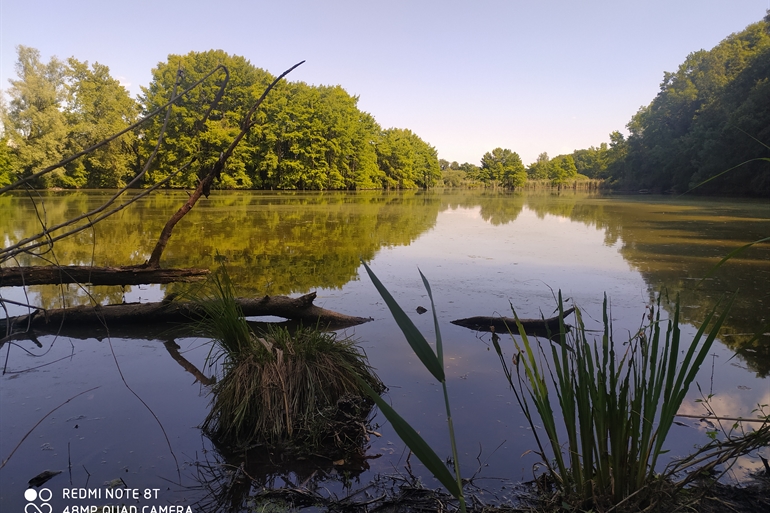 Spot où faire voler son drone