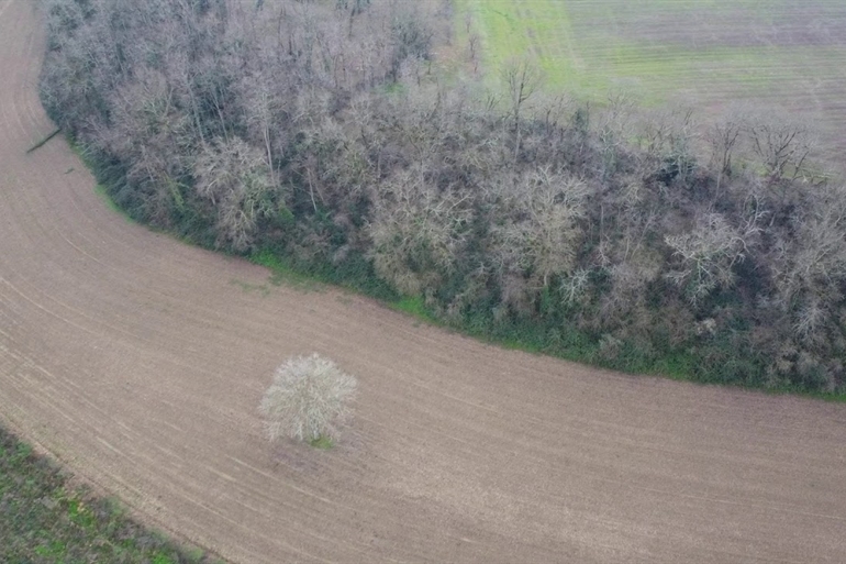 Spot où faire voler son drone