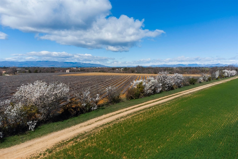 Spot où faire voler son drone