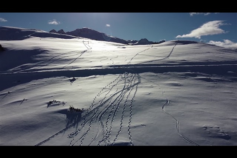 Spot où faire voler son drone