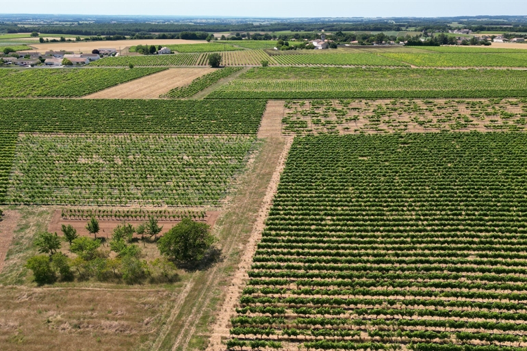 Spot où faire voler son drone