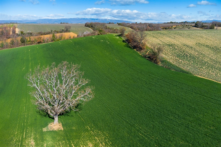 Spot où faire voler son drone