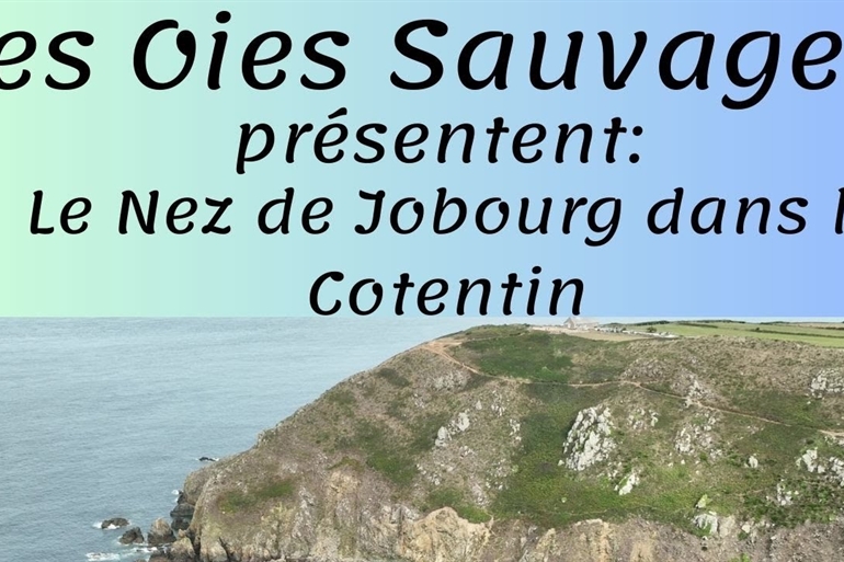 Spot où faire voler son drone