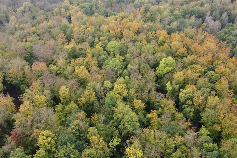 Spot où faire voler son drone