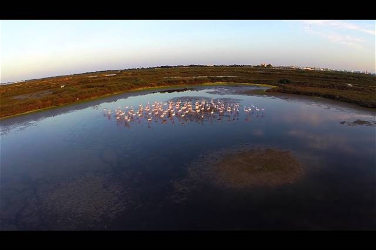 Spot où faire voler son drone