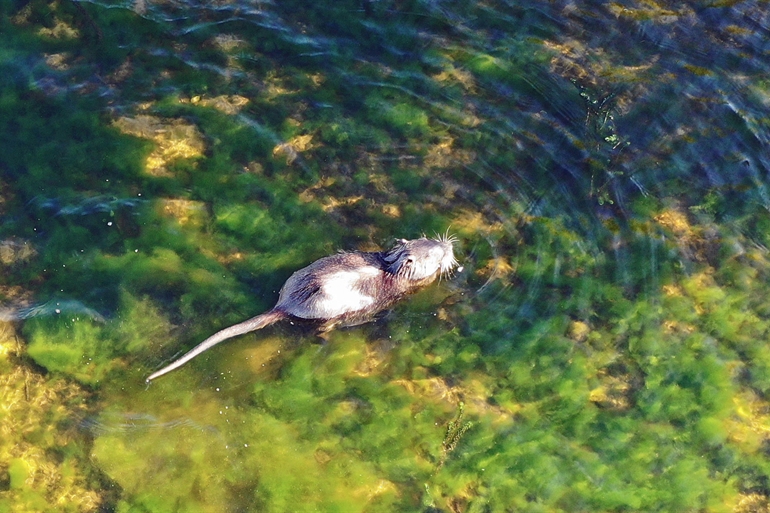 Spot où faire voler son drone