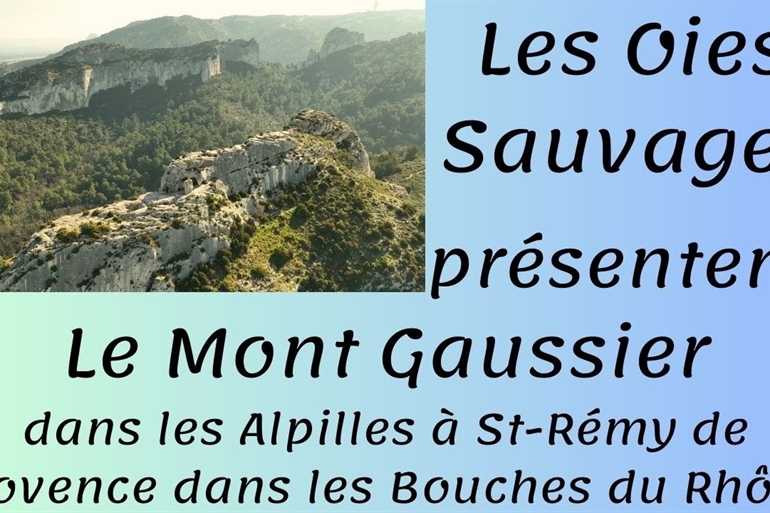 Spot où faire voler son drone