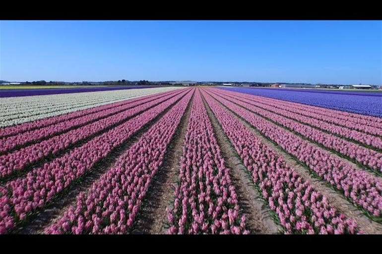 Spot où faire voler son drone