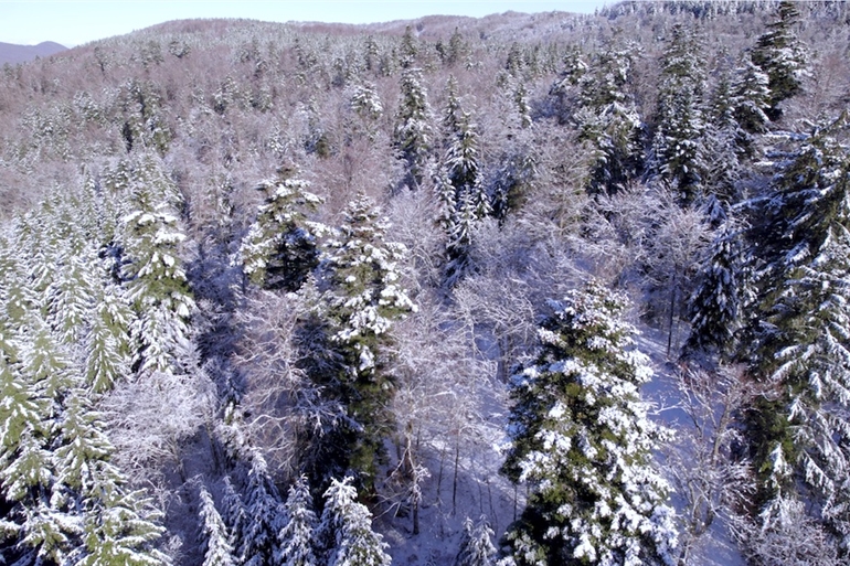 Spot où faire voler son drone