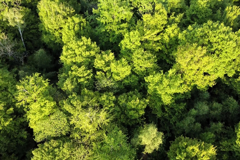 Spot où faire voler son drone