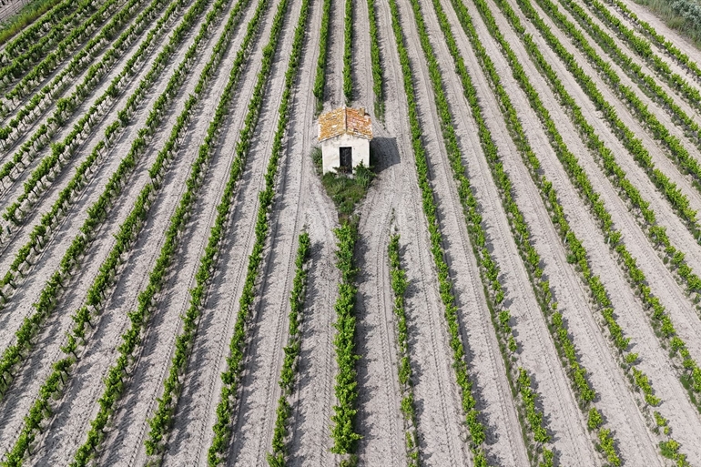 Spot where to fly your drone