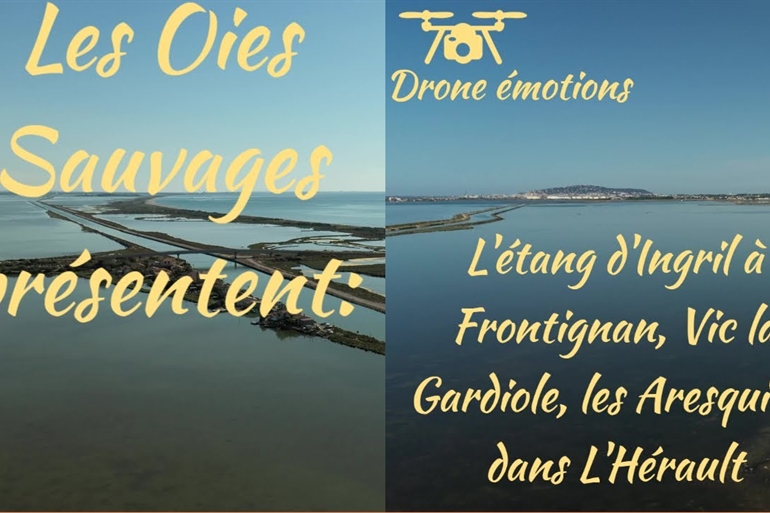 Spot où faire voler son drone