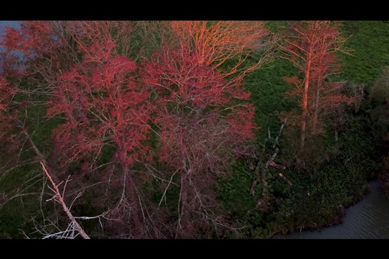 Spot où faire voler son drone