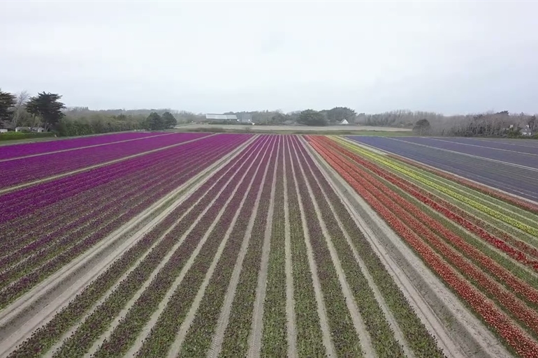 Spot où faire voler son drone