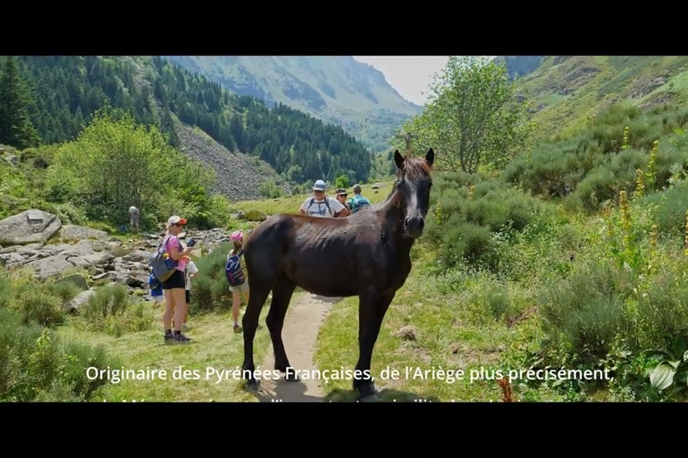 Spot où faire voler son drone