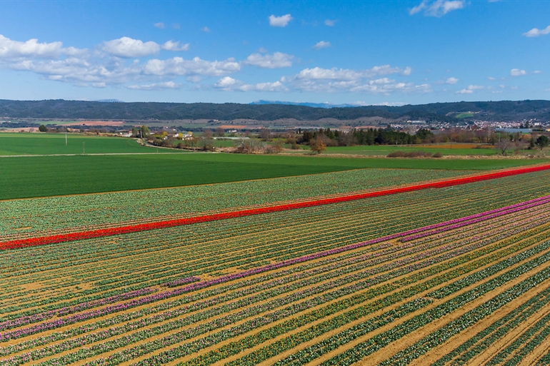 Spot où faire voler son drone