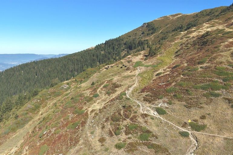 Spot où faire voler son drone