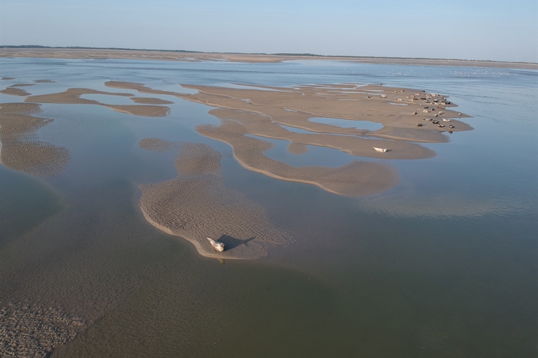 Spot où faire voler son drone