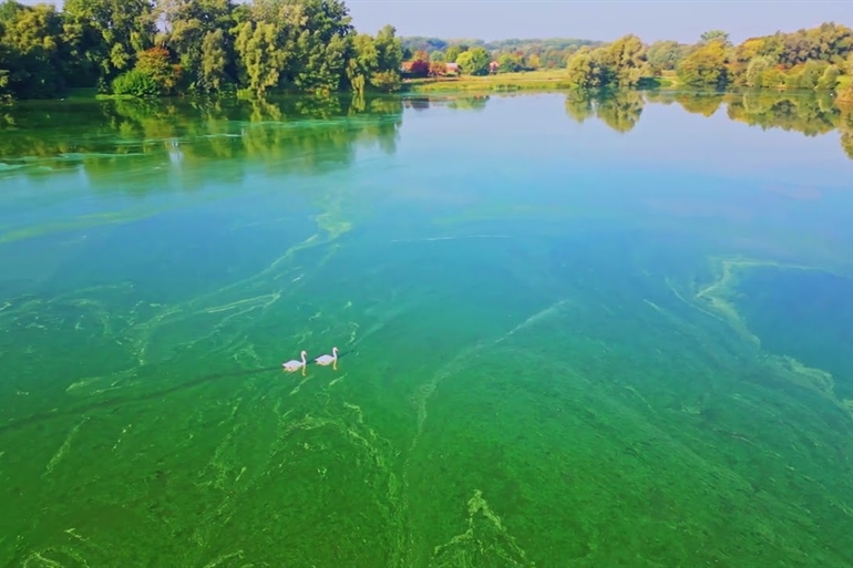 Spot où faire voler son drone