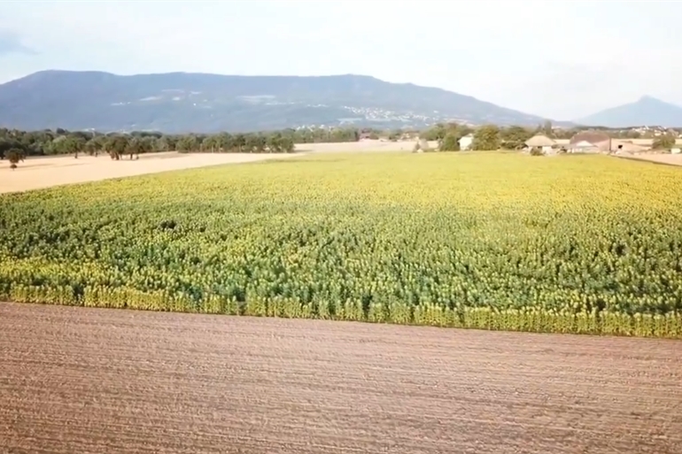 Spot où faire voler son drone