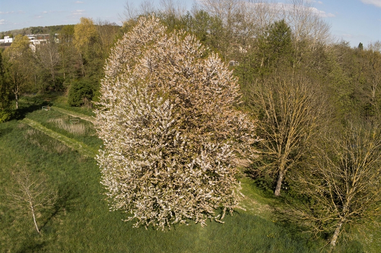 Spot où faire voler son drone