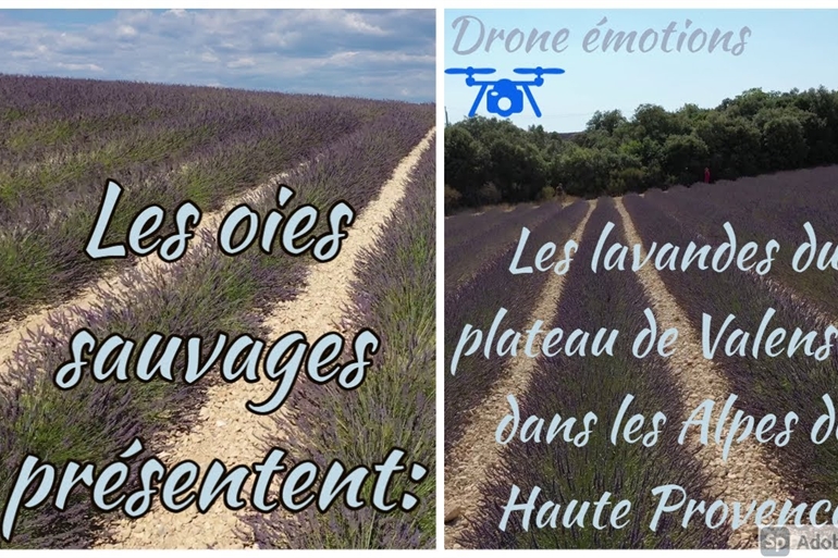 Spot où faire voler son drone