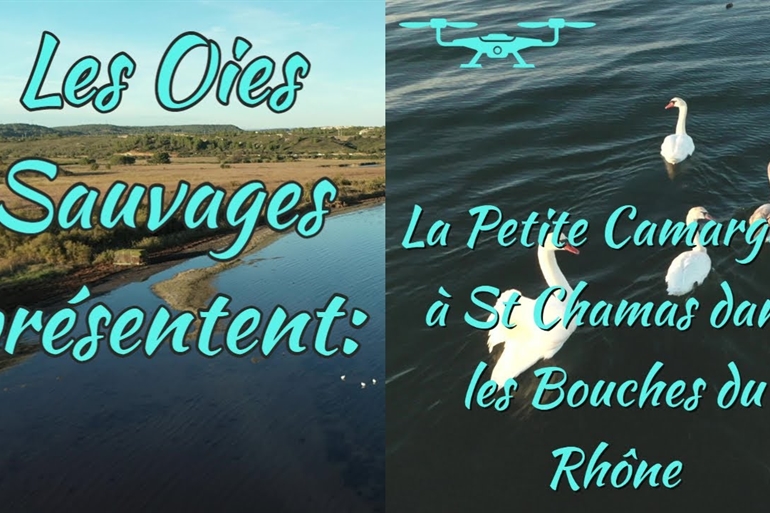 Spot où faire voler son drone