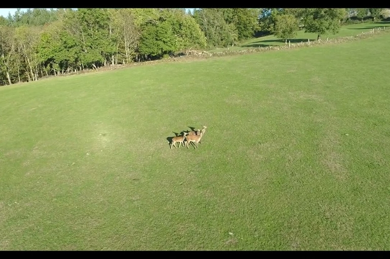 Spot où faire voler son drone