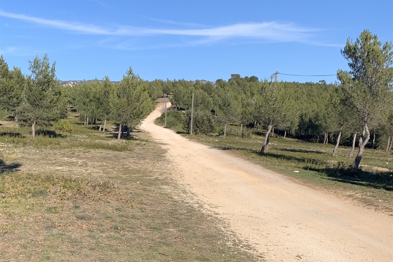 Spot où faire voler son drone