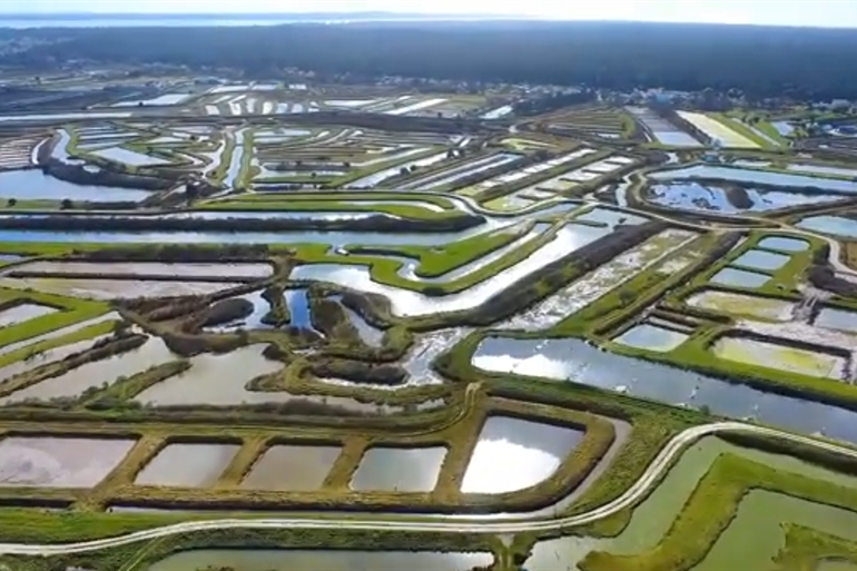 Spot où faire voler son drone