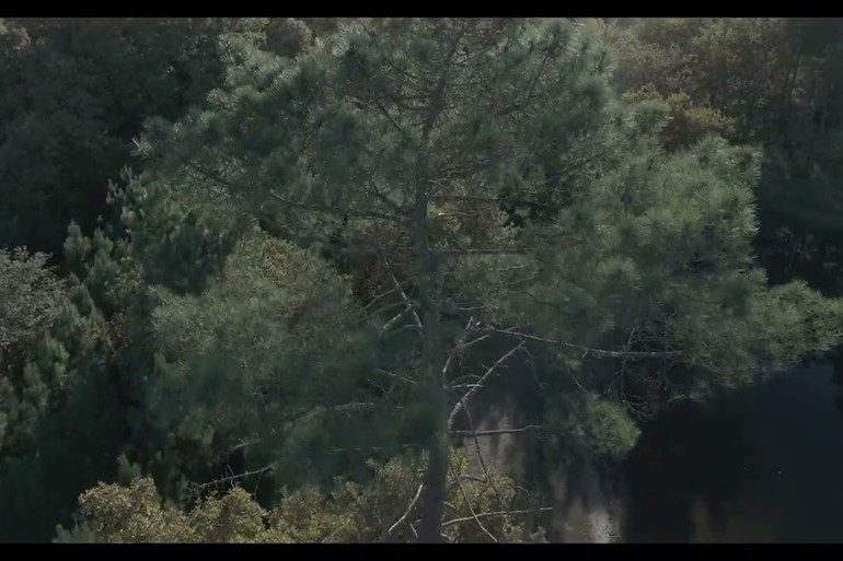 Spot où faire voler son drone