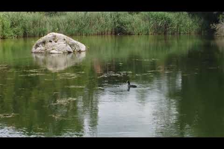 Spot où faire voler son drone