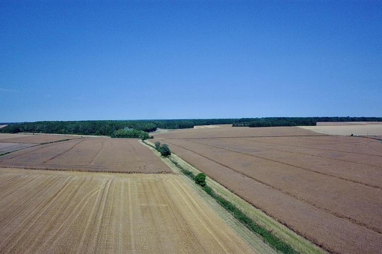 Spot où faire voler son drone