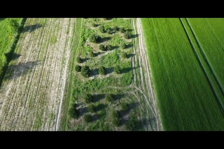 Spot où faire voler son drone