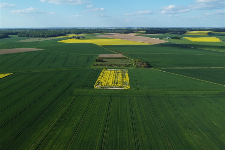 Spot où faire voler son drone