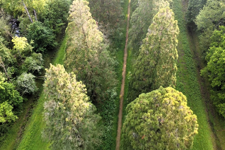 Spot où faire voler son drone