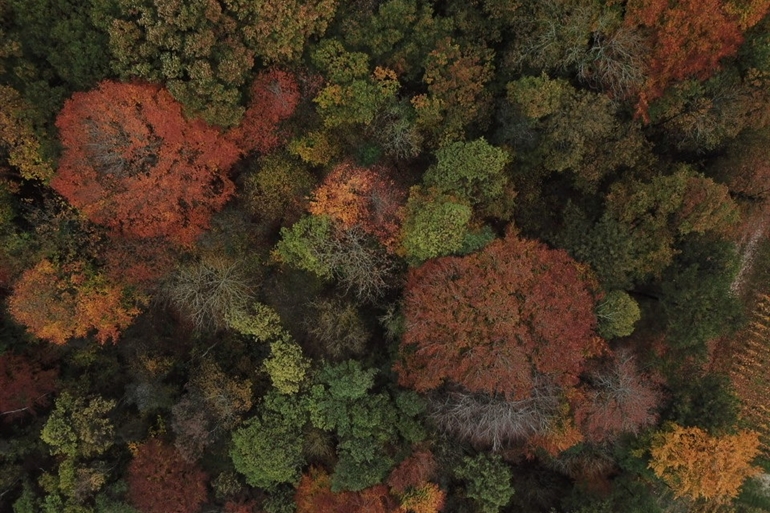 Spot où faire voler son drone