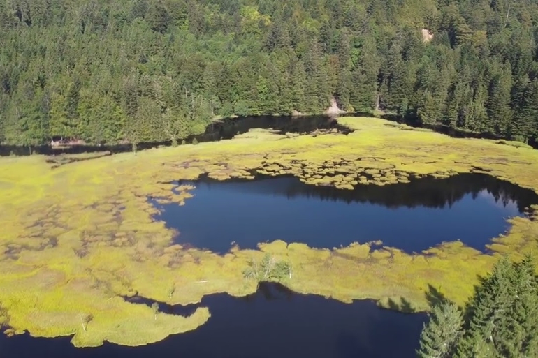 Spot où faire voler son drone