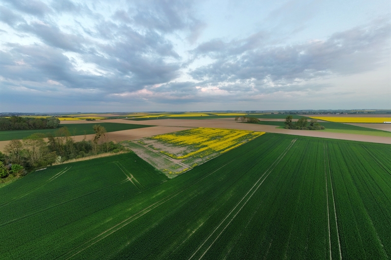 Spot où faire voler son drone