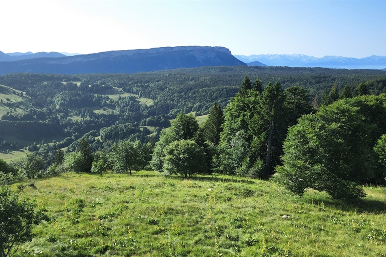 Spot où faire voler son drone