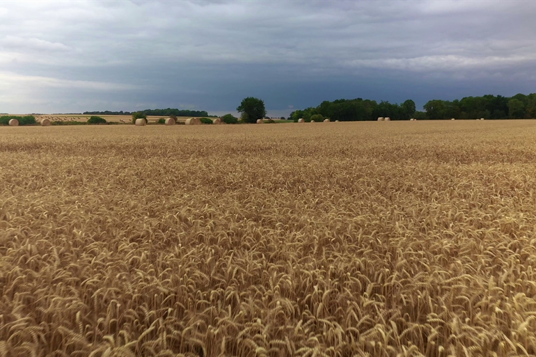 Spot où faire voler son drone