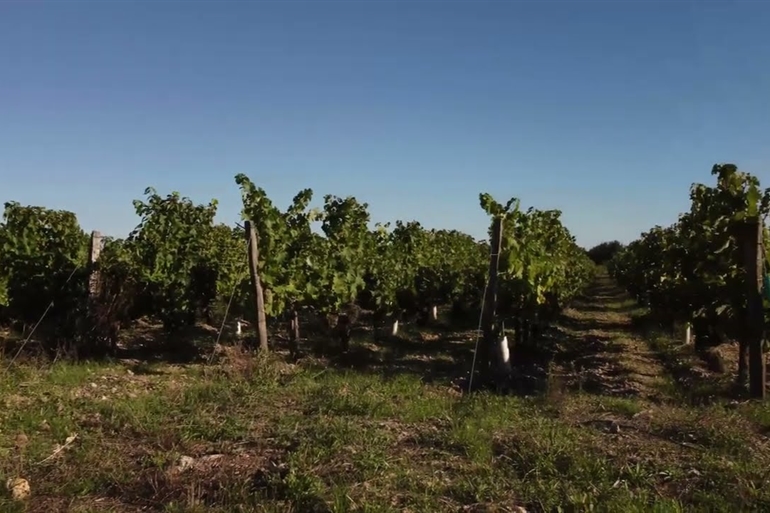 Spot où faire voler son drone