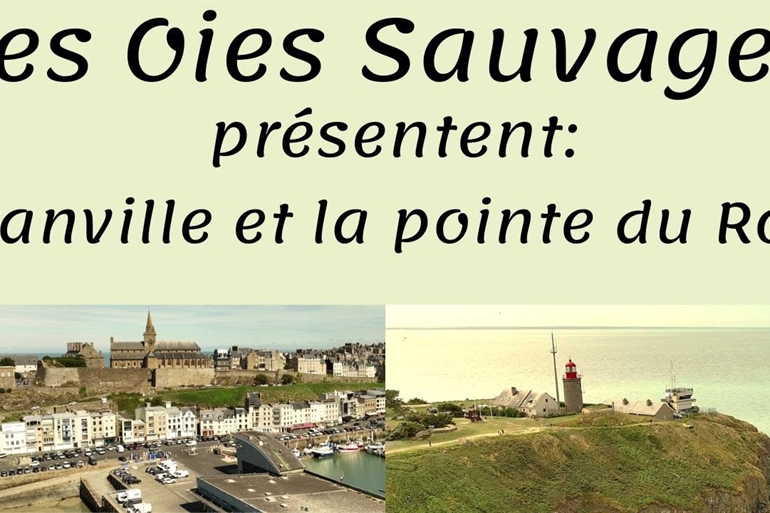 Spot où faire voler son drone