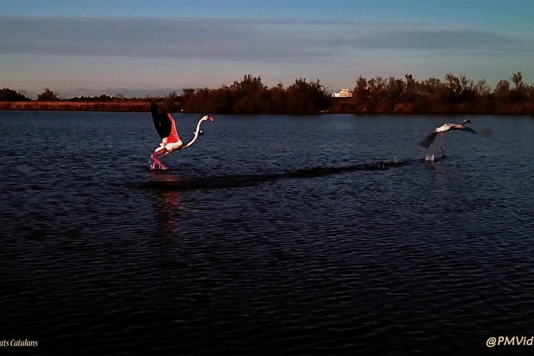 Spot où faire voler son drone