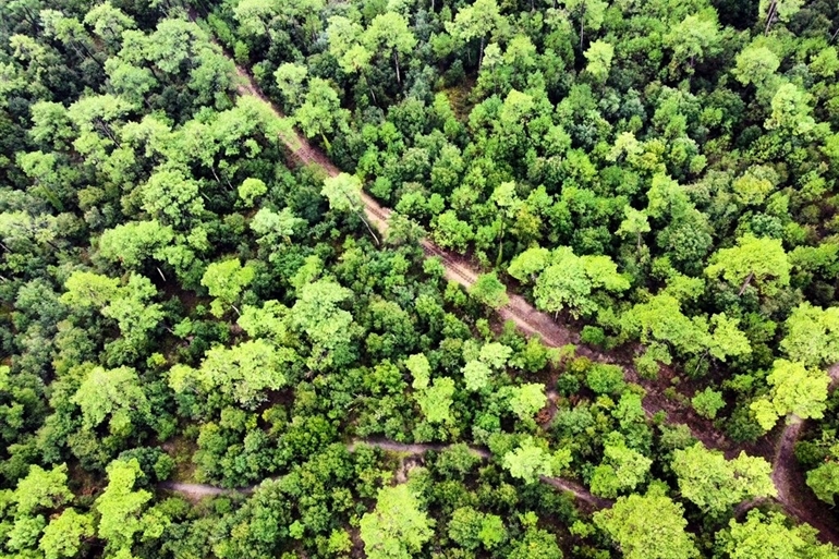 Spot où faire voler son drone