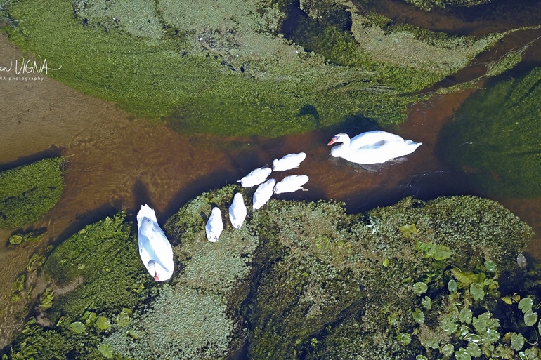 Spot où faire voler son drone