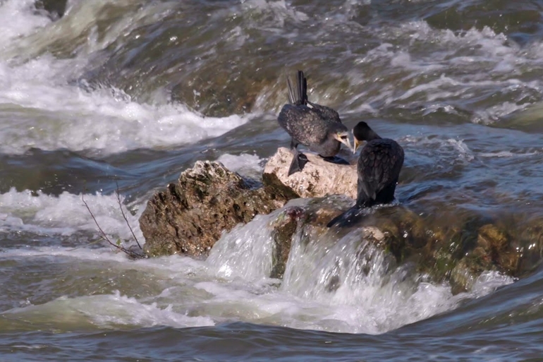 Spot où faire voler son drone