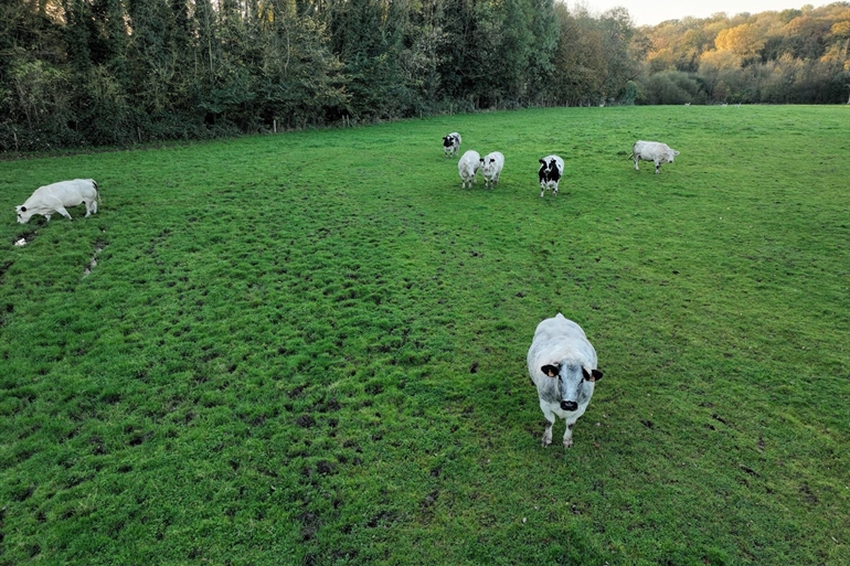 Spot où faire voler son drone