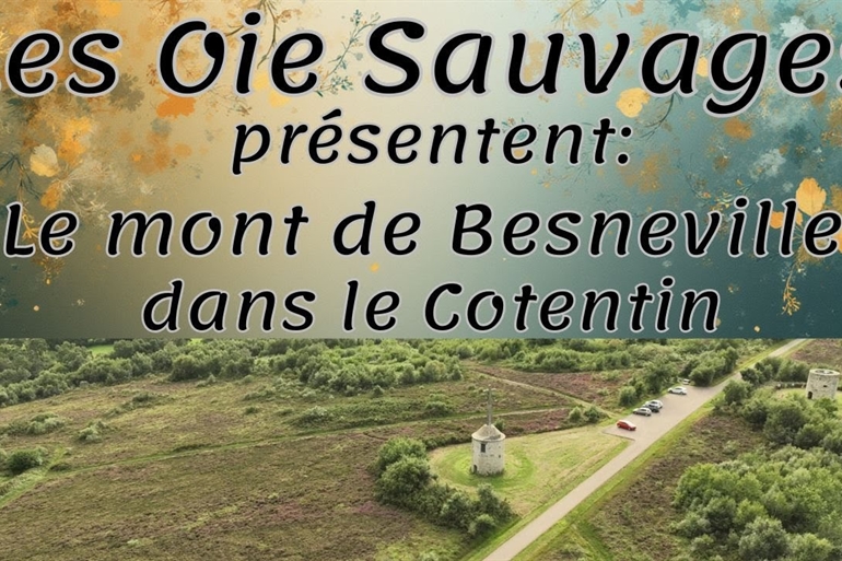 Spot où faire voler son drone