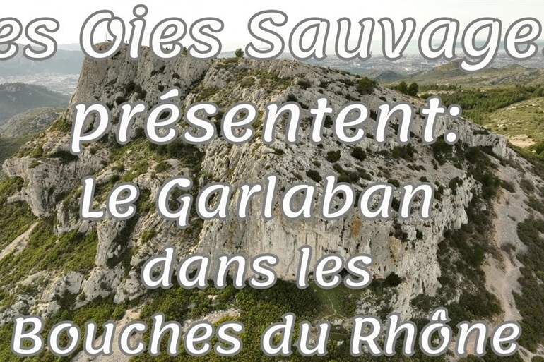 Spot où faire voler son drone